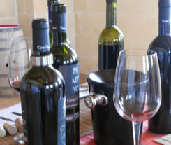 Red wine bottles at the tasting